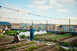 Vertical and Urban Farming