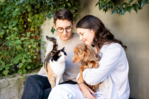 pet dog insurance tips